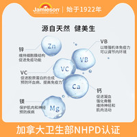 Jamieson健美生维生素B补充维生素B男士多维成人组合装两瓶装