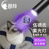 暗月伍德氏灯猫藓灯荧光剂检测笔365nm紫光灯手电筒面膜验钞烟酒 365伍德式猫藓灯