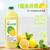 汇源 100%桃混合果汁 2000ml*1瓶