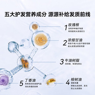 爱德兰丝（Aderans）固发防脱洗护套装 洗发水护发素套装防脱育发洗发水控油洗发护发 藥性防脱育发洗护套装370ml*2