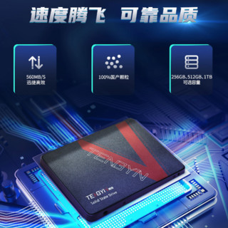 TENGYIN 腾隐 TS510 SATA 固态硬盘 1TB（SATA3.0）