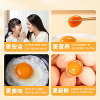 好念头年货节礼盒可生食无菌新鲜鸡蛋50枚过年始祖黑鸡谷物蛋