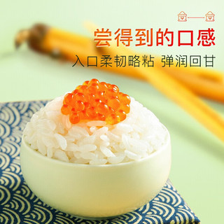 十月稻田 长粒香米5kg+杂粮粥100g 东北大米