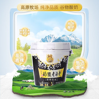 XIAOXINIU 小西牛 青海青稞黑米藏之宝谷物整箱低温老酸奶150g*12杯礼盒装