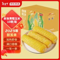 京东京造 东北黄糯玉米2.2kg（10根）东北黄甜糯玉米 代餐 杂粮 年货