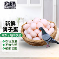 junxian 均鲜 新鲜鸽子蛋杂粮喂养农家特产白鸽蛋信鸽蛋孕妇宝宝儿童土鸽子蛋 20枚鲜鸽蛋