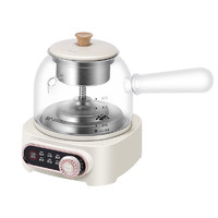SANSUI QT 电热水壶（煮茶壶） S-ZC4101
