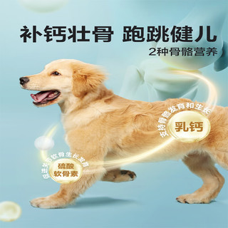 网易严选网易严选狗粮通用型宠爱相伴犬粮5.4kg泰迪金毛成幼犬老年犬通用 宠爱相伴2.0版5.4kg*2包