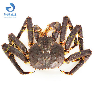 御鲜之王 鲜活帝王蟹2100-2250g/只 螃蟹生鲜 海鲜水产长脚蟹