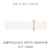 Daniel Wellington DanielWellington）DW原装表带时尚轻奢表带DW00200168（适用于28MM）