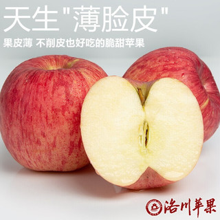 洛川苹果陕西延安红富士时令苹果水果生鲜新鲜整箱脆甜整箱好吃年货 5斤铂金果80-85mm（净重4.5斤）