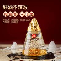 88VIP：WULIANGYE 五粮液 股份出品江山礼500ml*6瓶  金山银山52度浓香型白酒整箱送礼