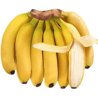 阳亦翠 云南高山香蕉 香甜大香蕉 1500g 新鲜生鲜水果