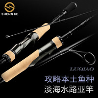 盛河盛河路翘富士导环泛用直柄枪柄路亚竿鲈鱼翘嘴远投1.98米L直柄竿