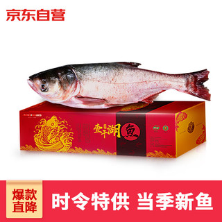 CHINGREE 查干湖 胖头鱼 3.25-3.5kg