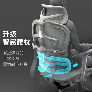 有谱E20 双背 人体工学椅电脑椅办公椅老板椅可躺舒适午休久坐 灰色+（龙纹）美国网+躺舒宝