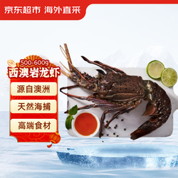 京东生鲜 冷冻西澳岩龙虾 净含量 500-600g/只 盒装 澳龙 高端海鲜食材