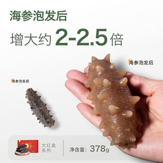 獐子岛（ZONECO SEAFOOD）大连深海底播干海参红盒 干货礼盒 礼盒 12倍泡发 底播辽刺参 干海参378g 46-60头