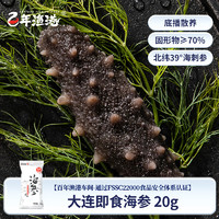 百年漁港 大連即食海參20g 固形物70%以上 單只 大連遼刺參