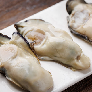 美加佳 韩国大号冷冻牡蛎肉 净重500g