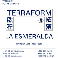 啟程拓殖 山竹 西梅 哥伦比亚天然变种-卡杜龙半水处理咖啡豆