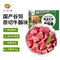 牛世界 plus会员:牛世界 原切牛腩块1kg