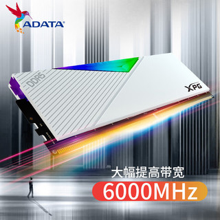 威刚（ADATA）D500G DDR5内存条16/32G套条RGB灯条台式电脑海力士颗粒频率8000 D500G 釉白 【16G*2套条】 7200MHz丨CL34丨海力士A-DIE颗粒