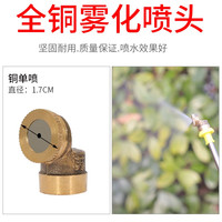 HE FENG农用电动喷雾器铜喷头高压雾化可调节降温除尘直喷嘴2分接口打药 铜单喷