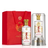 WULIANGYE 五粮液 一尊天下经典52度 500ml*2瓶 浓香型白酒 粮食酒