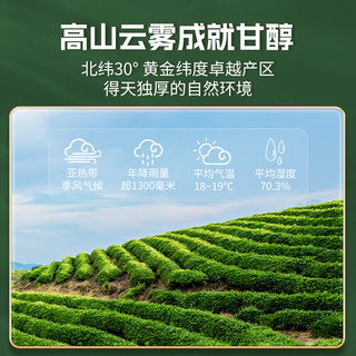 茗门天赐 茶叶 新茶 品质龙井绿茶 春茶30g 年货物