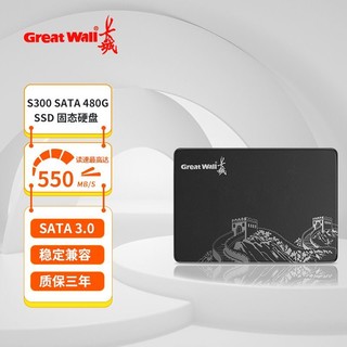 Great Wall 长城 T30固态硬盘480G台式机笔记本电脑高速SSD固态盘sata3.0