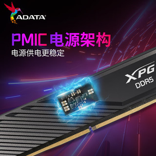 威刚（ADATA）64GB(32GBX2)套装 DDR5 5600 台式机内存条 镁光颗粒 XPG威龙D300（黑色）