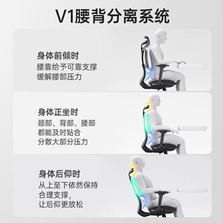 有谱 V1 人体工学椅电脑椅 办公电竞学习椅会议老板椅 多功能调节转椅 黑框黑网