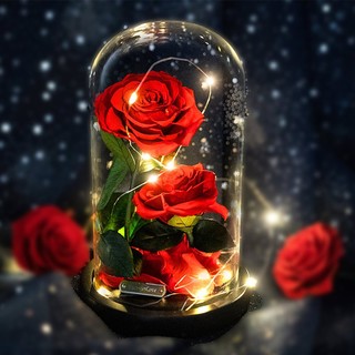 RoseBox 玫瑰盒子 玫瑰永生花 红色