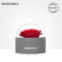 ROSEONLY 诺誓 永生玫瑰花首饰盒礼盒 求婚送女友生日纪念日情人节礼物 嫣红-永生玫瑰首饰盒