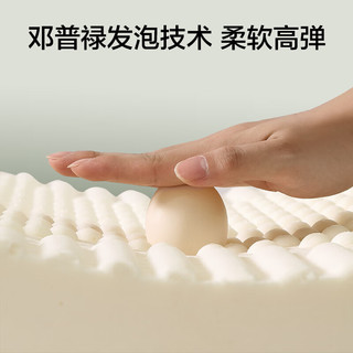 惠寻 京东自有品牌 泰国天然乳胶93%乳胶含量按摩标准加大