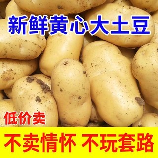 春正生 土豆 新鲜洋芋黄心品种 面马铃薯 大商超同款 9斤