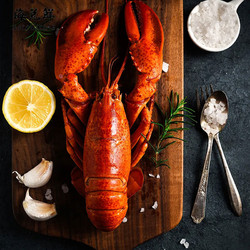 海兑鲜 熟冻波士顿龙虾400-450g/只即食大龙虾海鲜水产