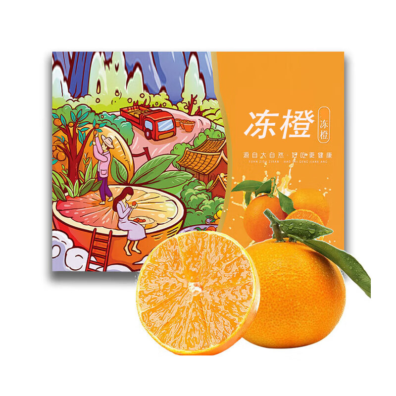 鲜合汇优 新鲜冻橙柑果子3斤