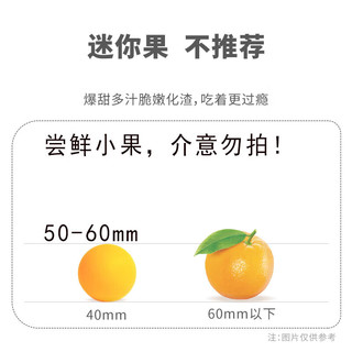 四川新鲜冻橙柑果子水果冰糖橙子生鲜年货礼盒物品 10斤 净重8.5-9斤起 50-55mm