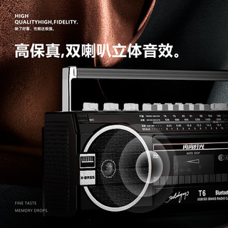 金业GOLDYIP-T6 复古磁带机录音机老式80年代收音机收录机小型蓝牙U盘多功能播放机 T6蓝牙版 标配