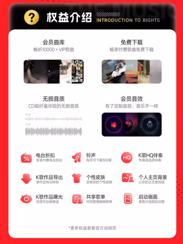 NetEase CloudMusic 网易云音乐 黑胶会员12个月年卡 填写手机号充值