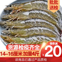 沃鲜汇 冰鲜大虾 单只14-16cm 2kg