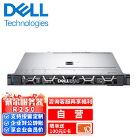 戴尔（DELL）服务器主机 R250  intel 2356G  64G  2T SATA企业  导轨
