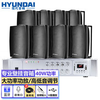  HYUNDAI/现代影音 背景音乐 壁挂音响室内套装