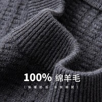 FORTEI 富铤 男装羊毛衫男秋季男式毛衣男士羊毛衫