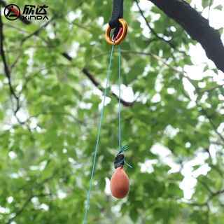 欣达/Xinda 2毫米迪尼玛细绳户外登山用品耐磨攀树牵引绳抛掷绳伞绳 红色(需要多少米拍多少件)