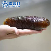 锦鲜乐肴 深海大乌参500-600g左右发好的大肉参即食海参酒店半成品