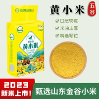 古荒草 2023新小米山东金谷小黄米小米粥黄金米五谷杂粮500g/袋S