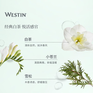 威斯汀（WESTIN）五星级酒店 白茶芦荟洗护系列 洗发液护发素沐浴露 洗发液 - 360 ml